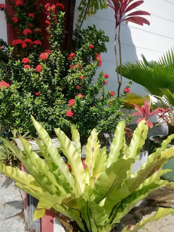 Rainbow Beach Hotel Hikkaduwa Dış mekan fotoğraf